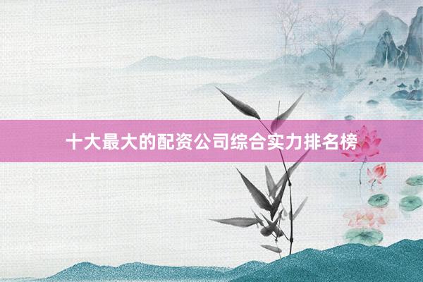 十大最大的配资公司综合实力排名榜