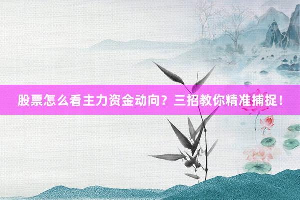 股票怎么看主力资金动向？三招教你精准捕捉！