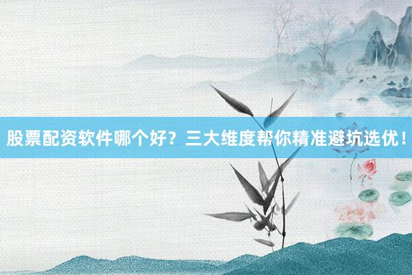 股票配资软件哪个好？三大维度帮你精准避坑选优！