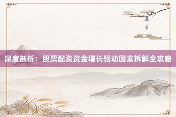 深度剖析：股票配资资金增长驱动因素拆解全攻略