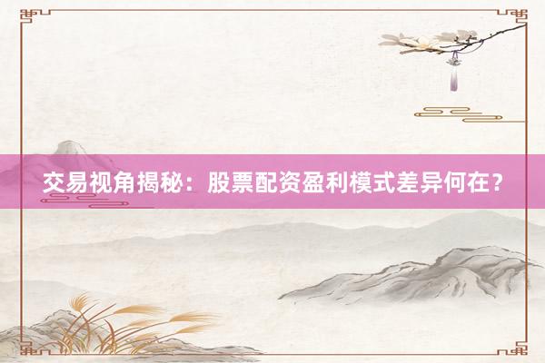 交易视角揭秘：股票配资盈利模式差异何在？