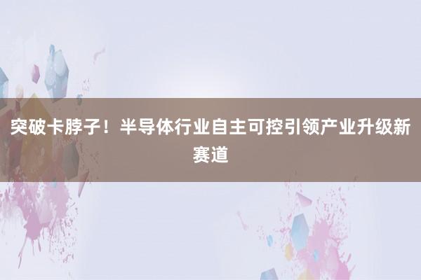 突破卡脖子！半导体行业自主可控引领产业升级新赛道