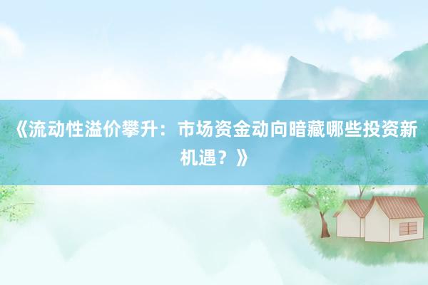《流动性溢价攀升：市场资金动向暗藏哪些投资新机遇？》